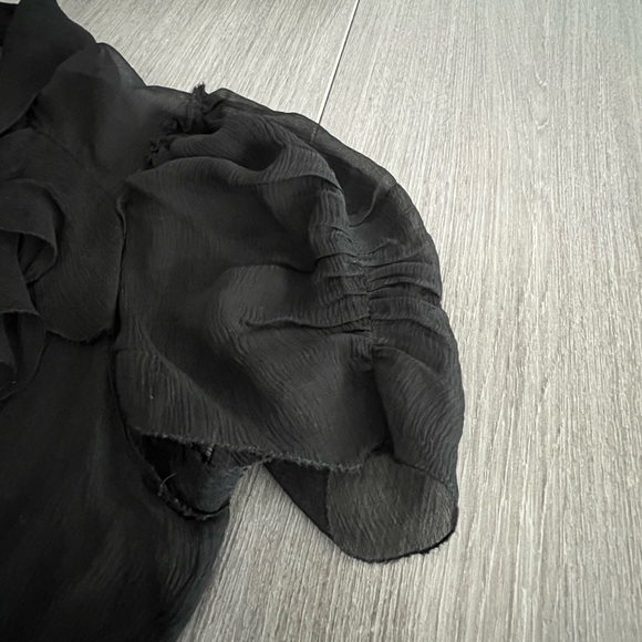 Robert Rodriguez 100% silk sheer short sleeve top - Picture 4 of 4